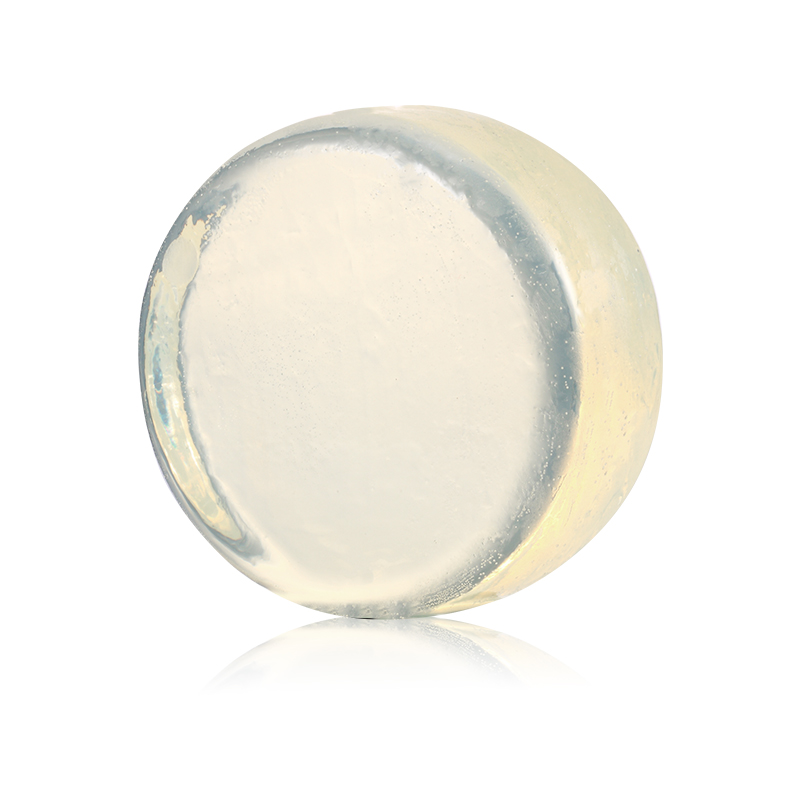 Plant Grow Dendrobium Officina